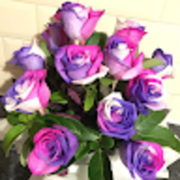 Meet your Posher, Aleksandra - Picture 1 of 1